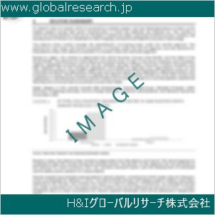 グローバルリサーチ調査資料のイメージ